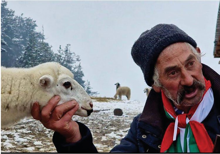 Картата на делата